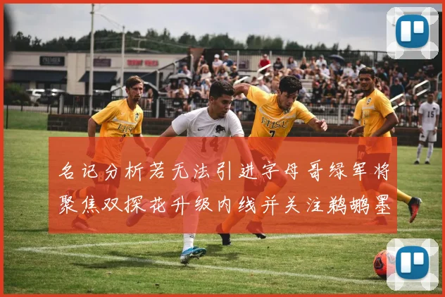 名记分析若无法引进字母哥绿军将聚焦双探花升级内线并关注鹈鹕墨菲
